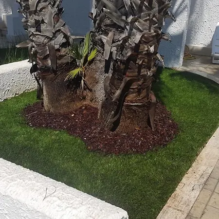 Oleandri - Baia